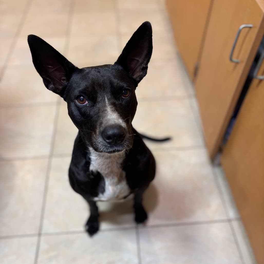 Fiona