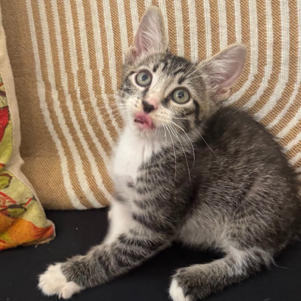 Milo